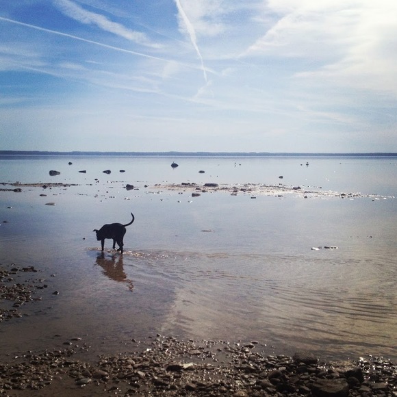 Meet your Posher, Annie - Picture 1 of 1